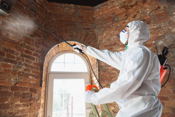 Best Industrial Mold Remediation in Burlington, VT